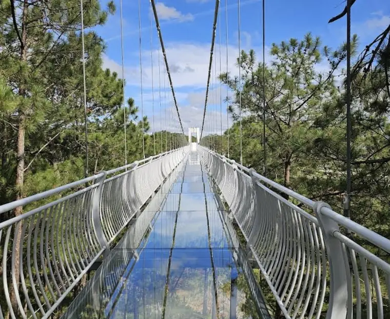 Ngàn Thông Glass Bridge — Da Lat, 325 m · five-layer glass