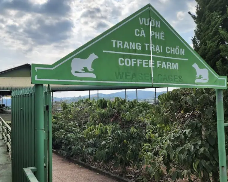 Mê Linh Coffee Garden — Da Lat, Coffee farm · robusta and mocha