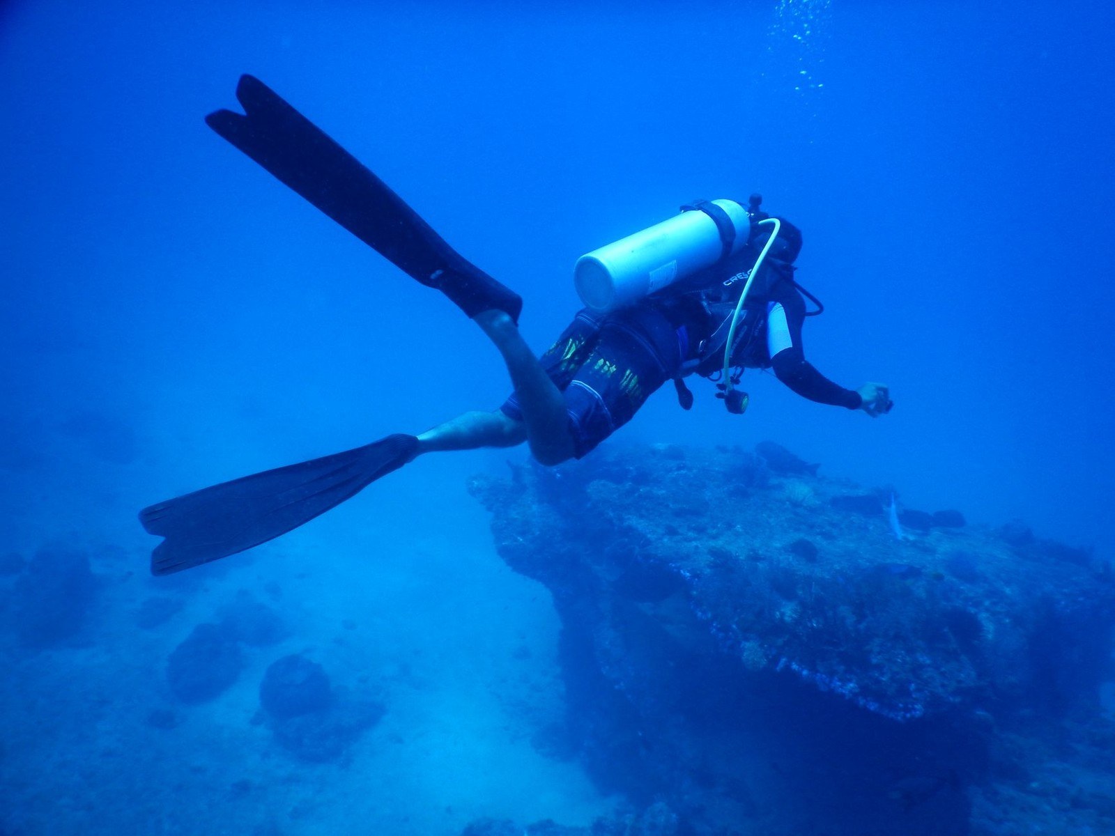 Scuba diver with tank swimming over a reef underwater
