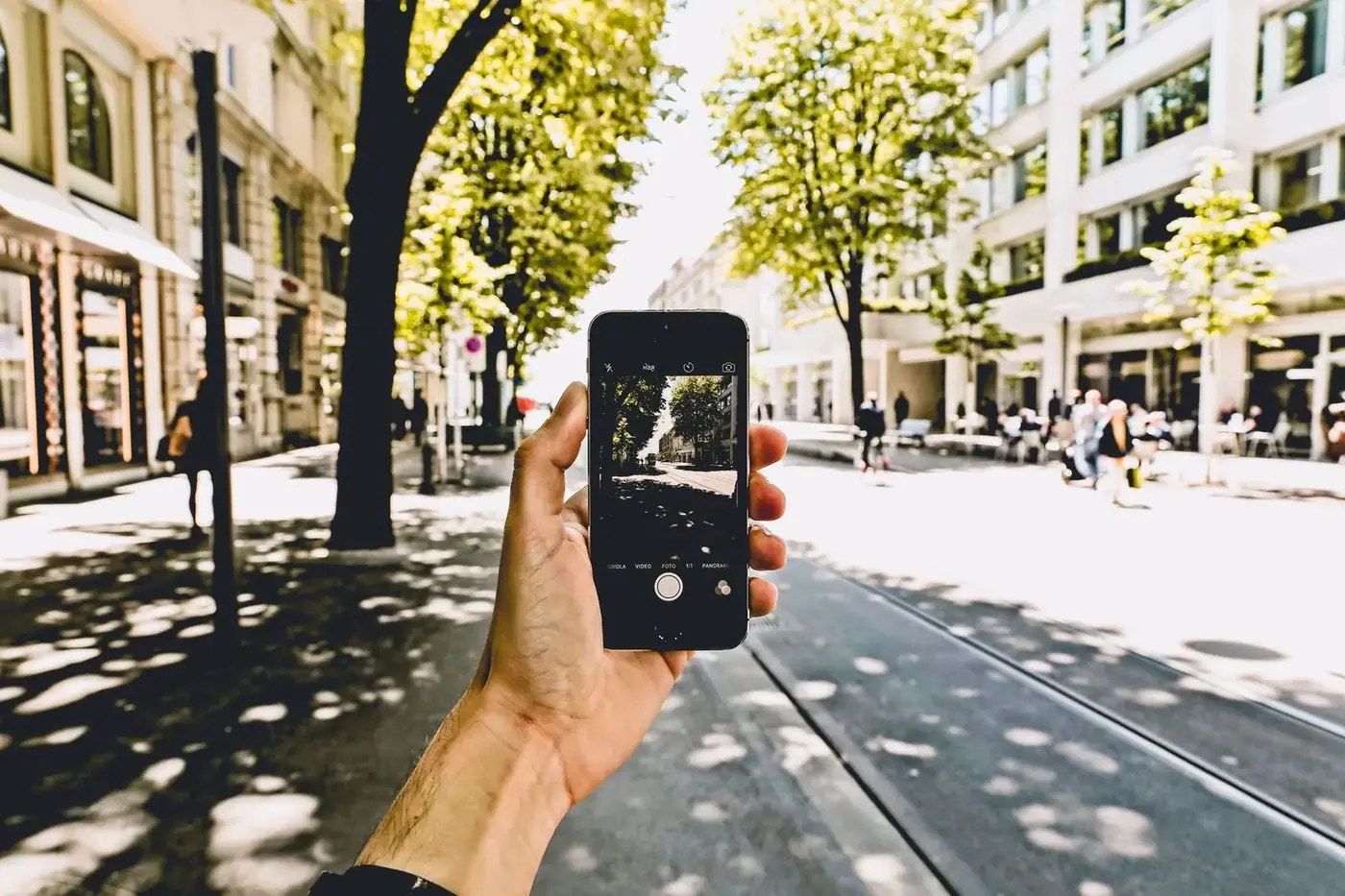 Hand holding a smartphone with the camera open on a sunny tree-lined city street