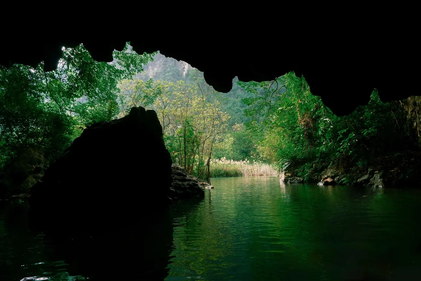 Boat gliding through a green limestone cave river in Phong Nha-Ke Bang National Park