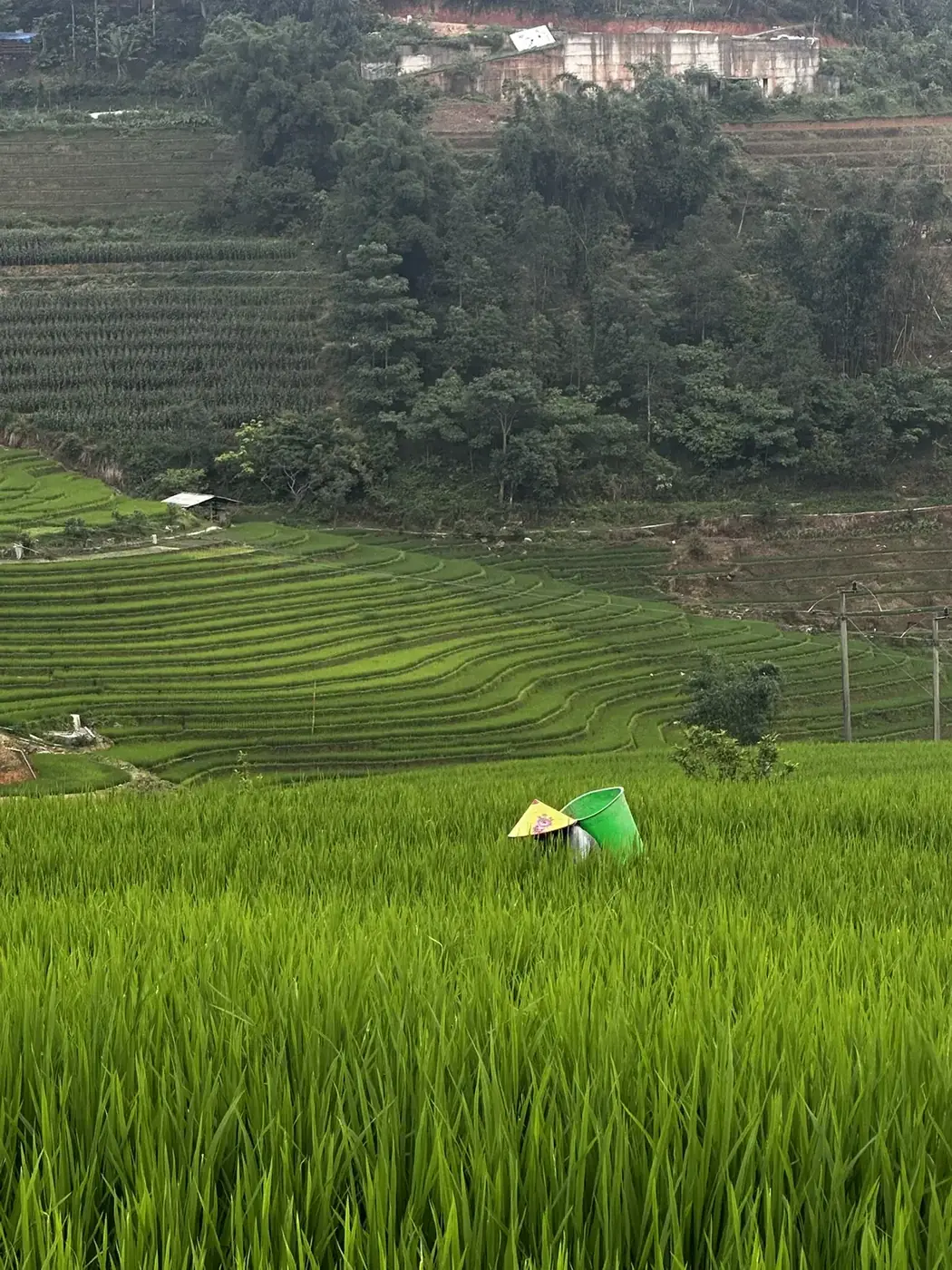 Best Places to Visit in Vietnam in 2026 (Worth Your Days)