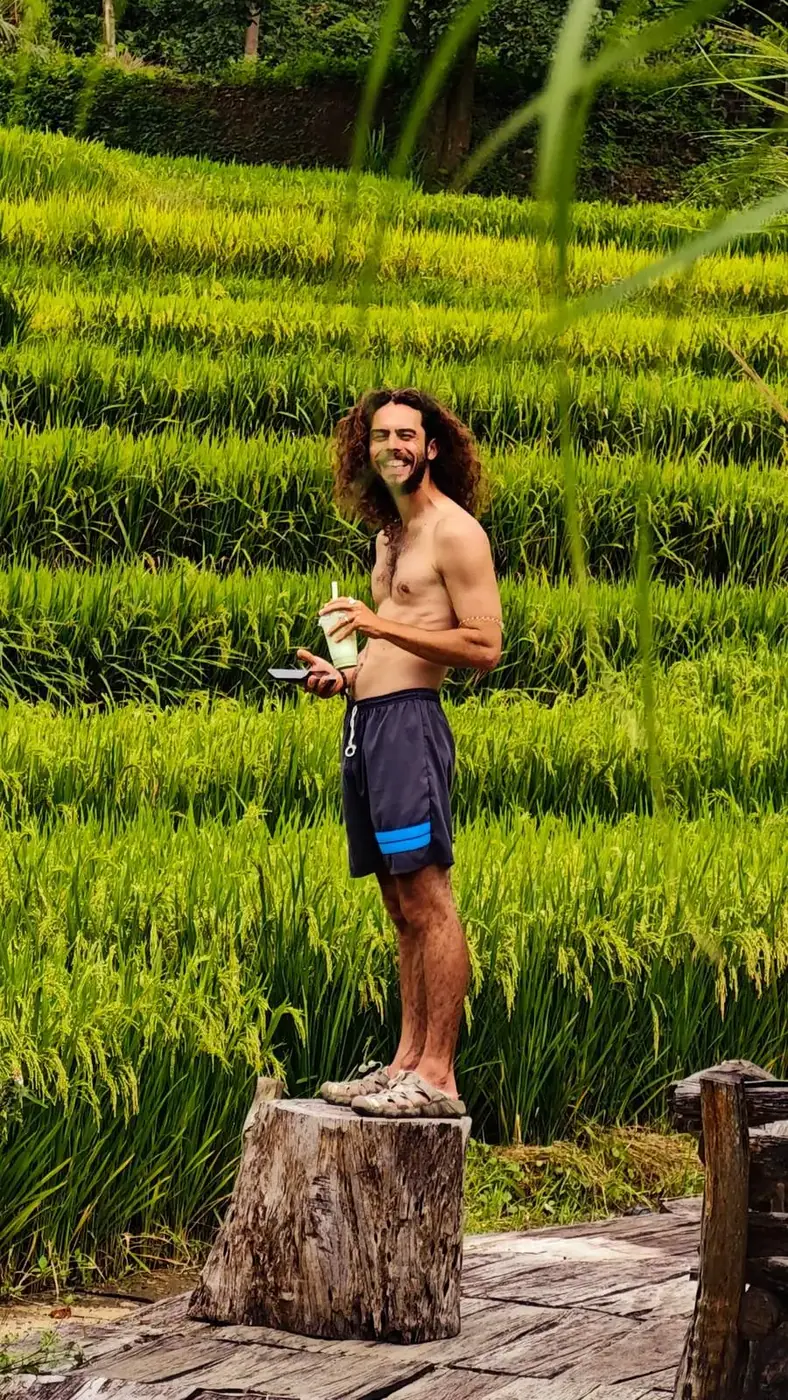 rice terraces in rural Vietnam
