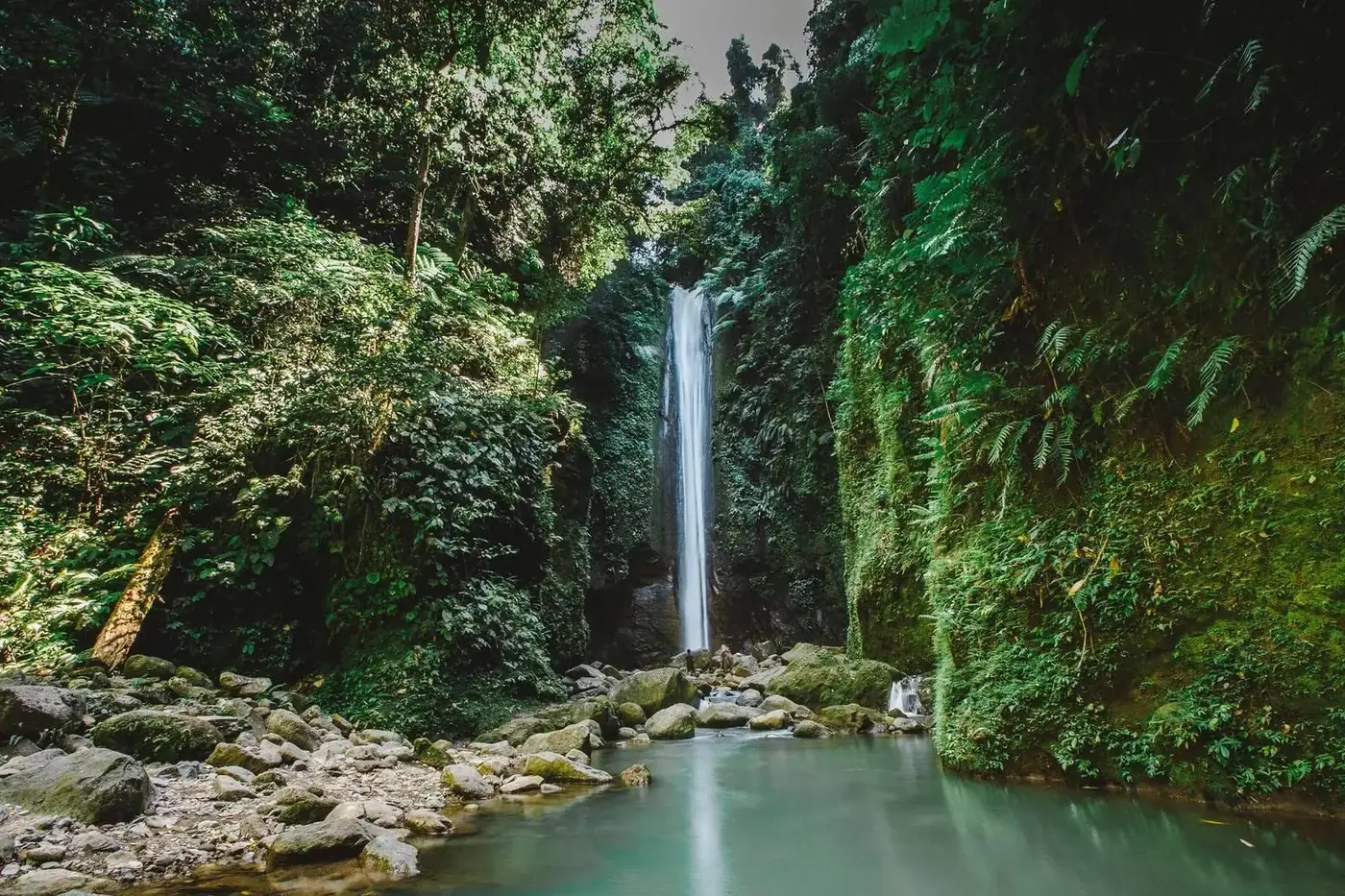 A waterfall cascading through a dense green tropical jungle