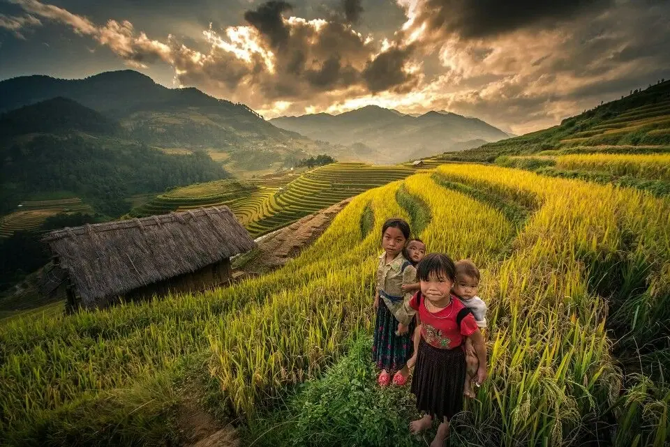 Local children standing in a rice field in rural Vietnam