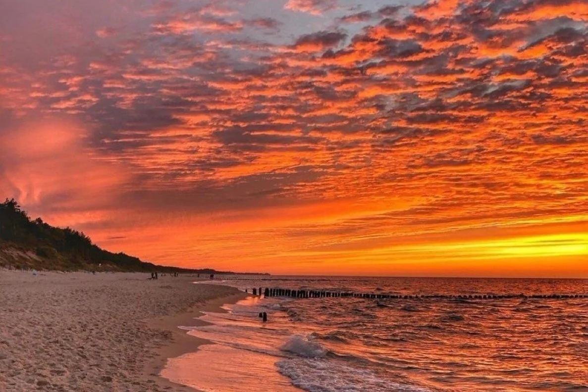 Footprints on wet sand under a pink cloudy sky at sunset on a Vietnamese beach