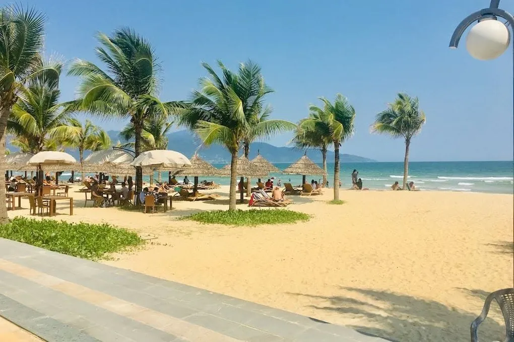 Beachfront loungers and thatched umbrellas by the sea
