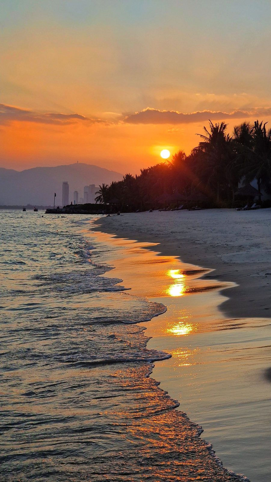 Sunset over Nha Trang bay with palm trees