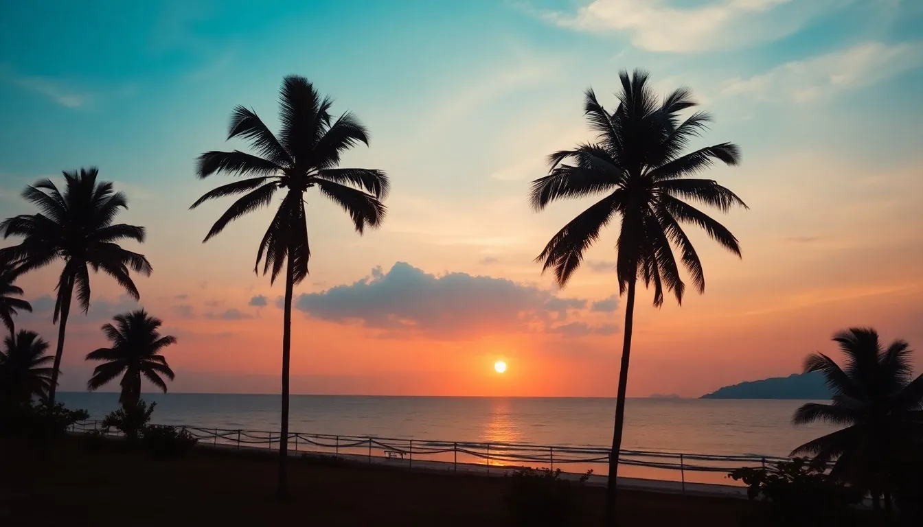 Sunset over the South China Sea with palm tree silhouettes — Vietnam