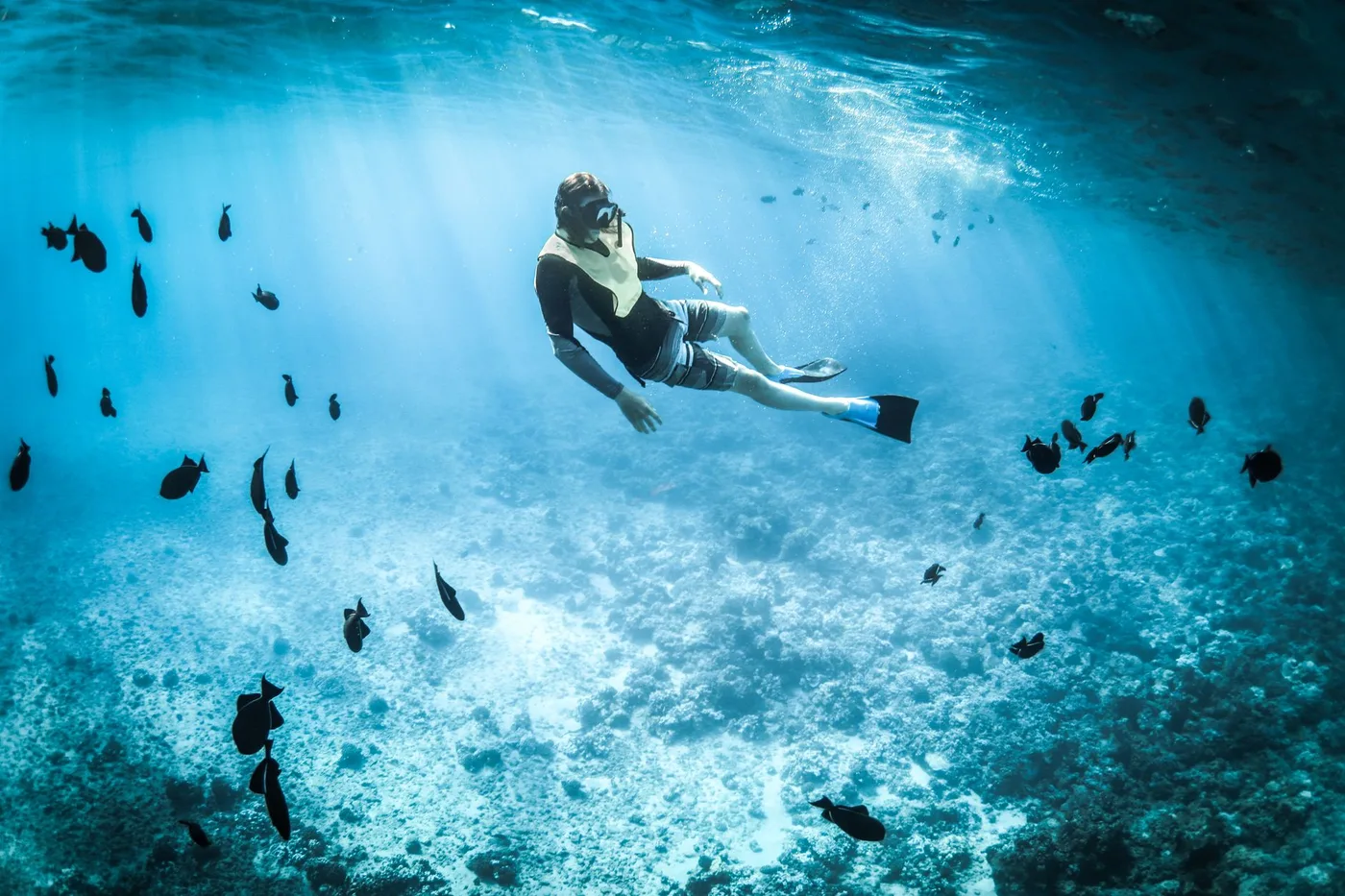 Snorkeler drifting through a school of small dark reef fish