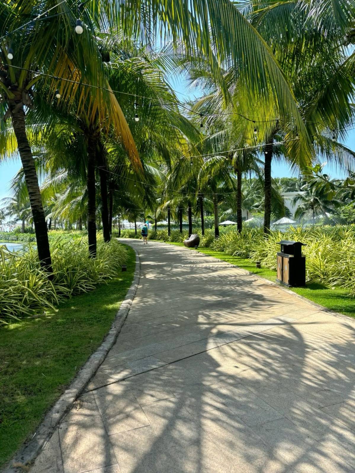 Palm-lined seaside path in Nha Trang