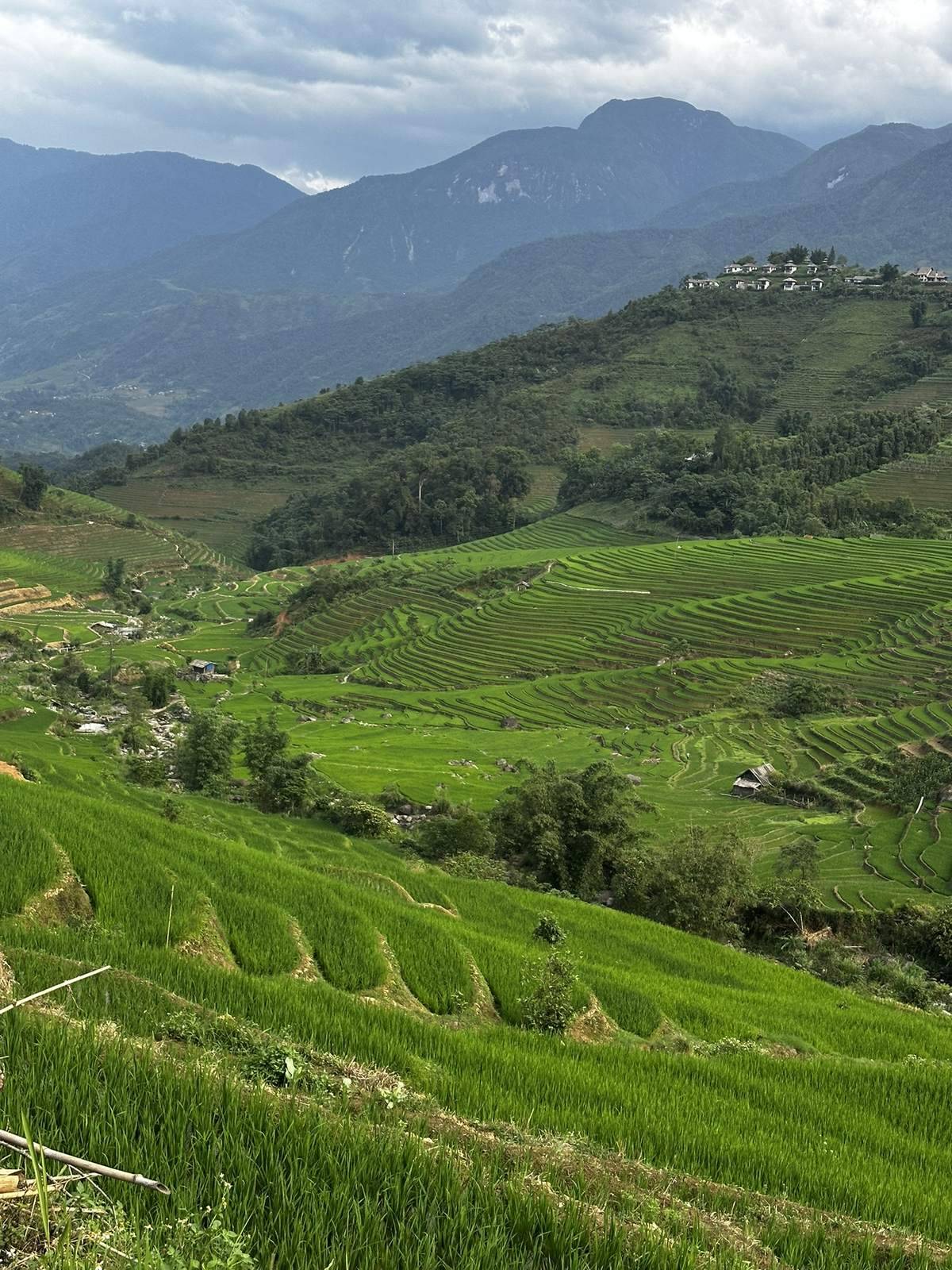 Da Lat vs Sapa: Which Vietnam Mountain Trip Fits You in 2026