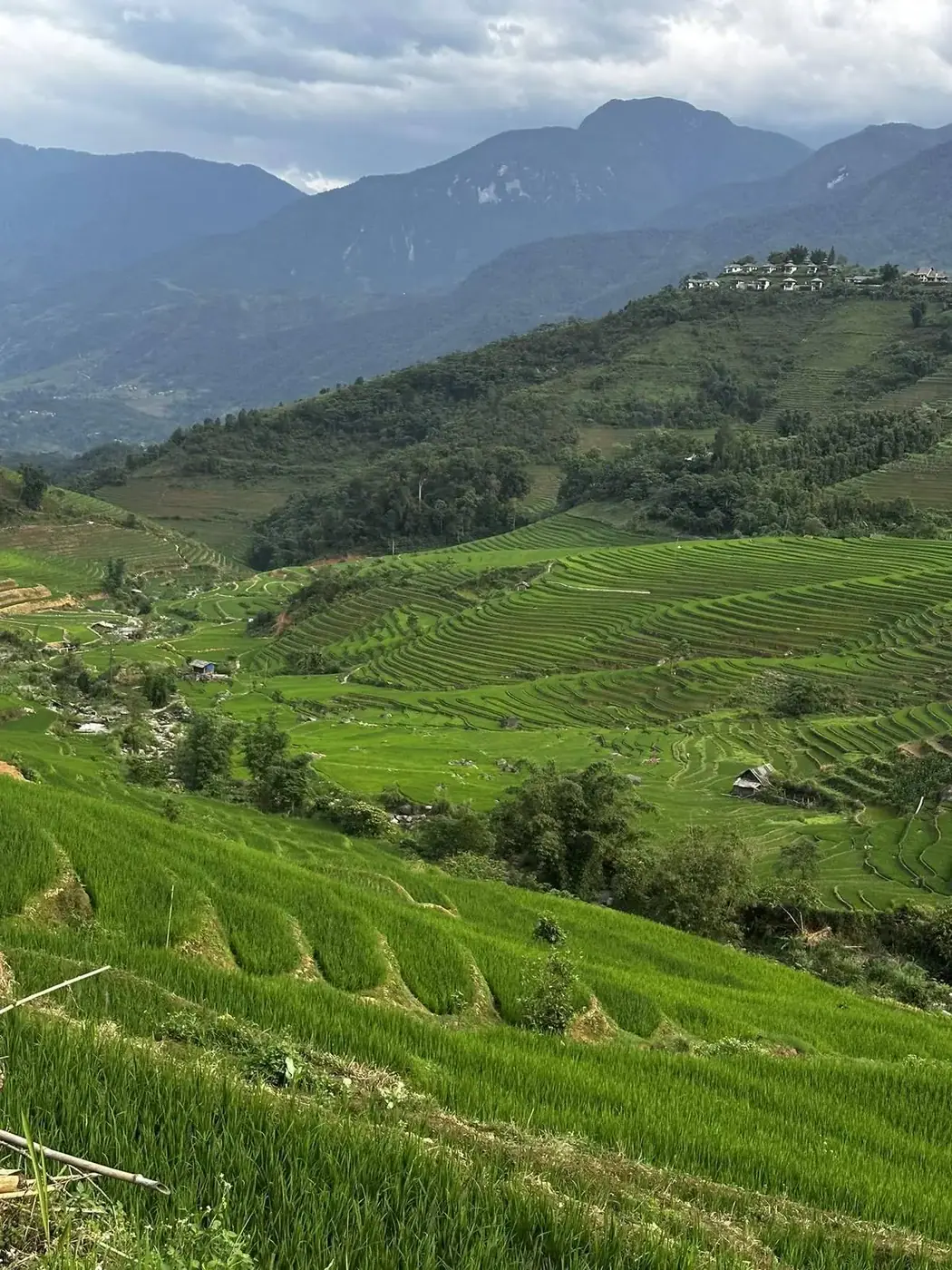 Da Lat vs Sapa: Which Vietnam Mountain Trip Fits You in 2026