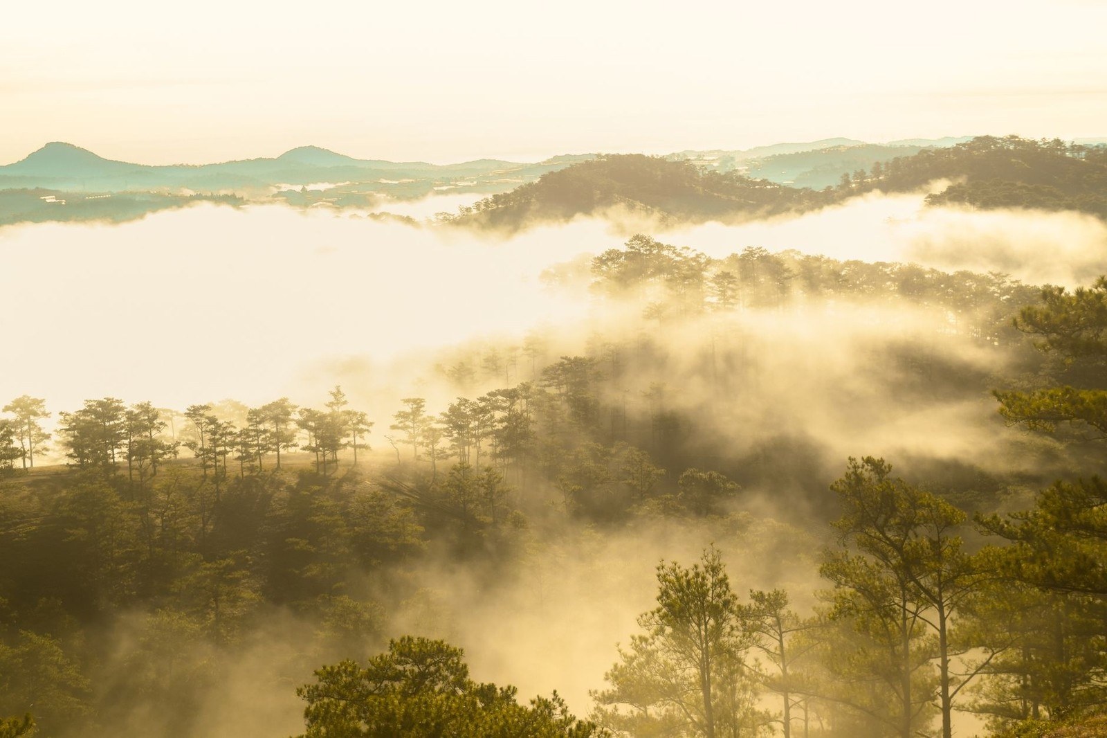 Dalat Airport Closed 2026: How to Still Visit Da Lat (Full Guide)