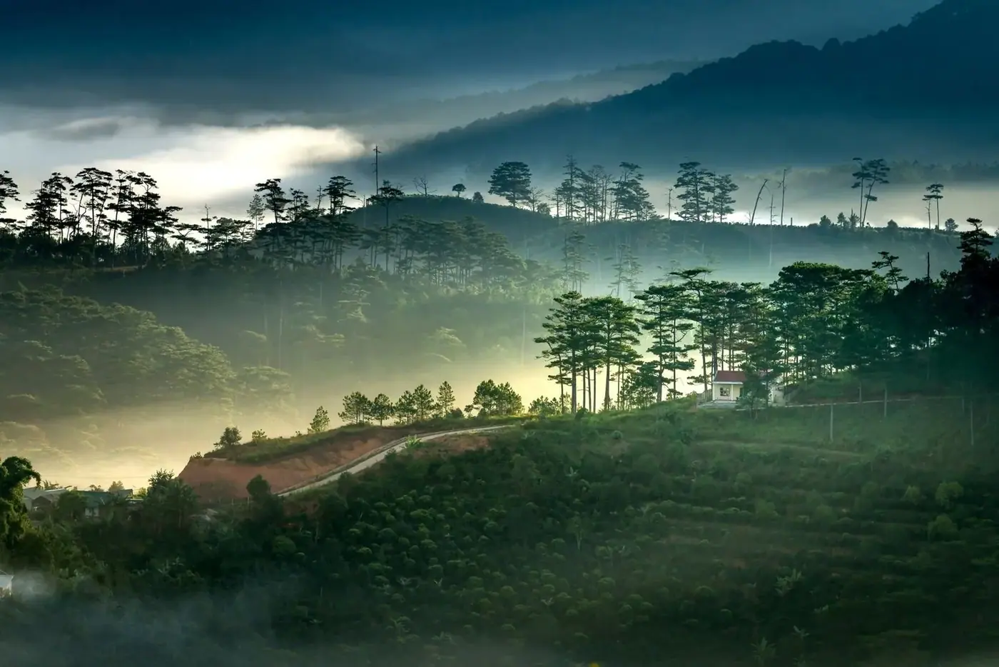 Is Dalat Worth Visiting? A Practical Guide to Vietnam's Mountain Town in 2026