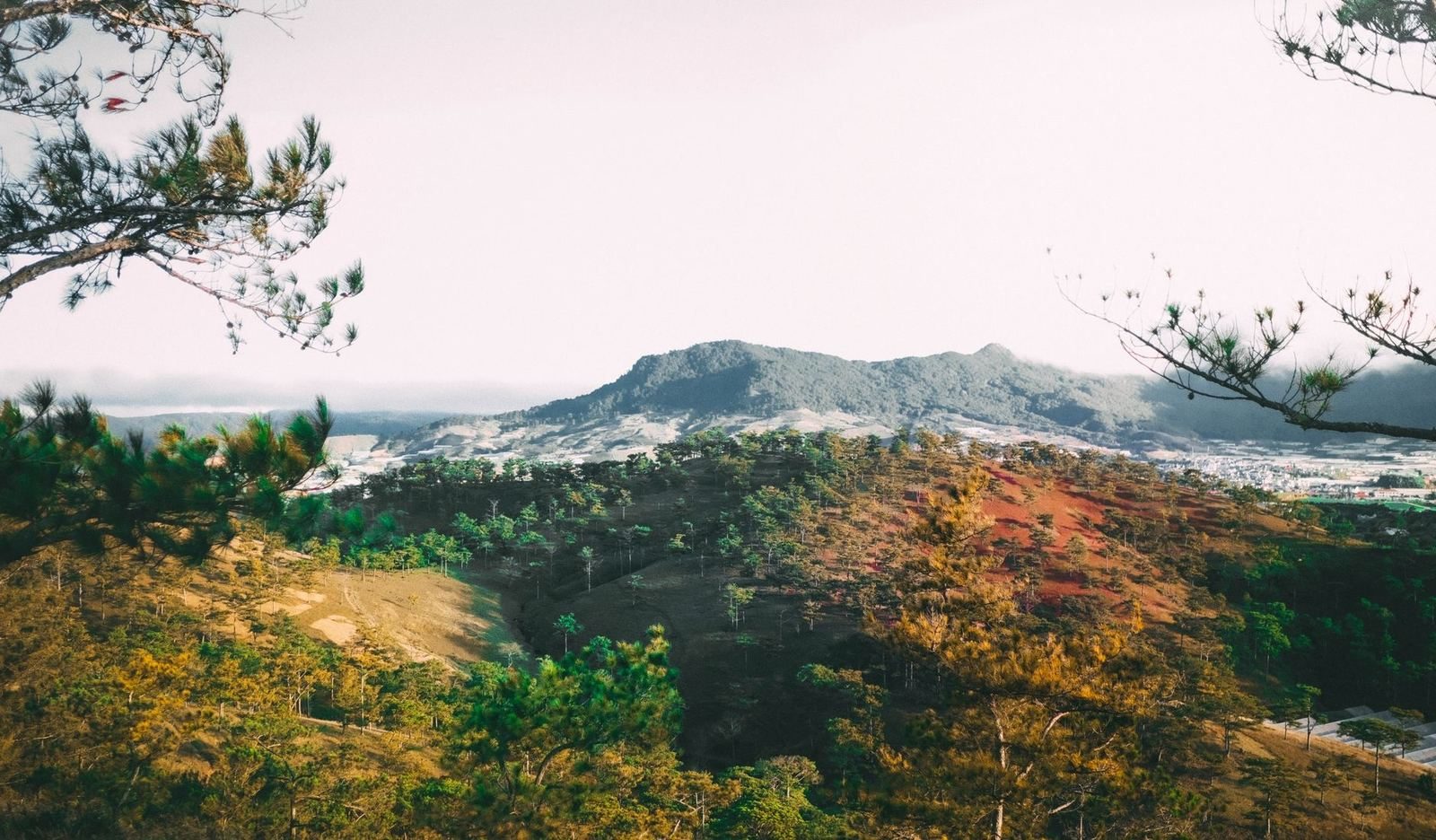 a mountain peak rising above forested hills near Dalat