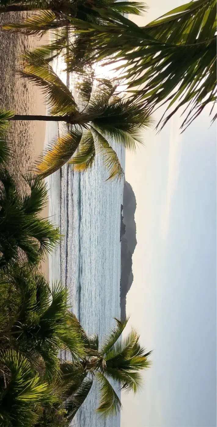 Palm trees framing a rock island off a Nha Trang beach