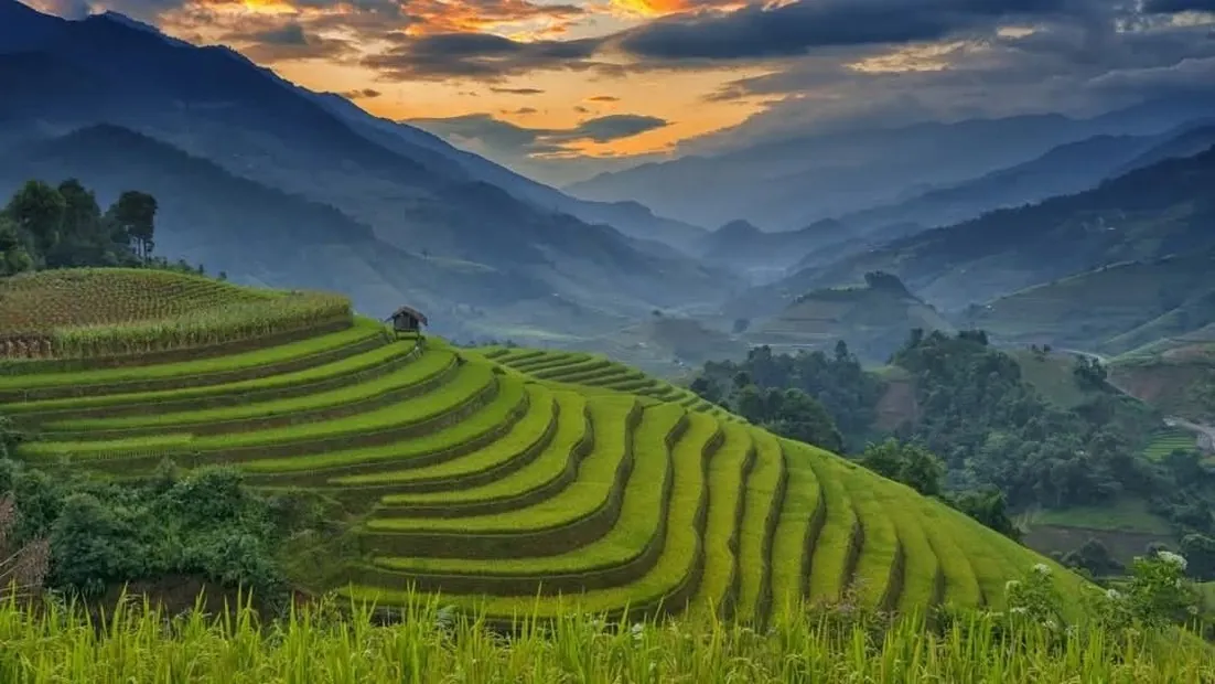 How much do Vietnam excursions actually cost?