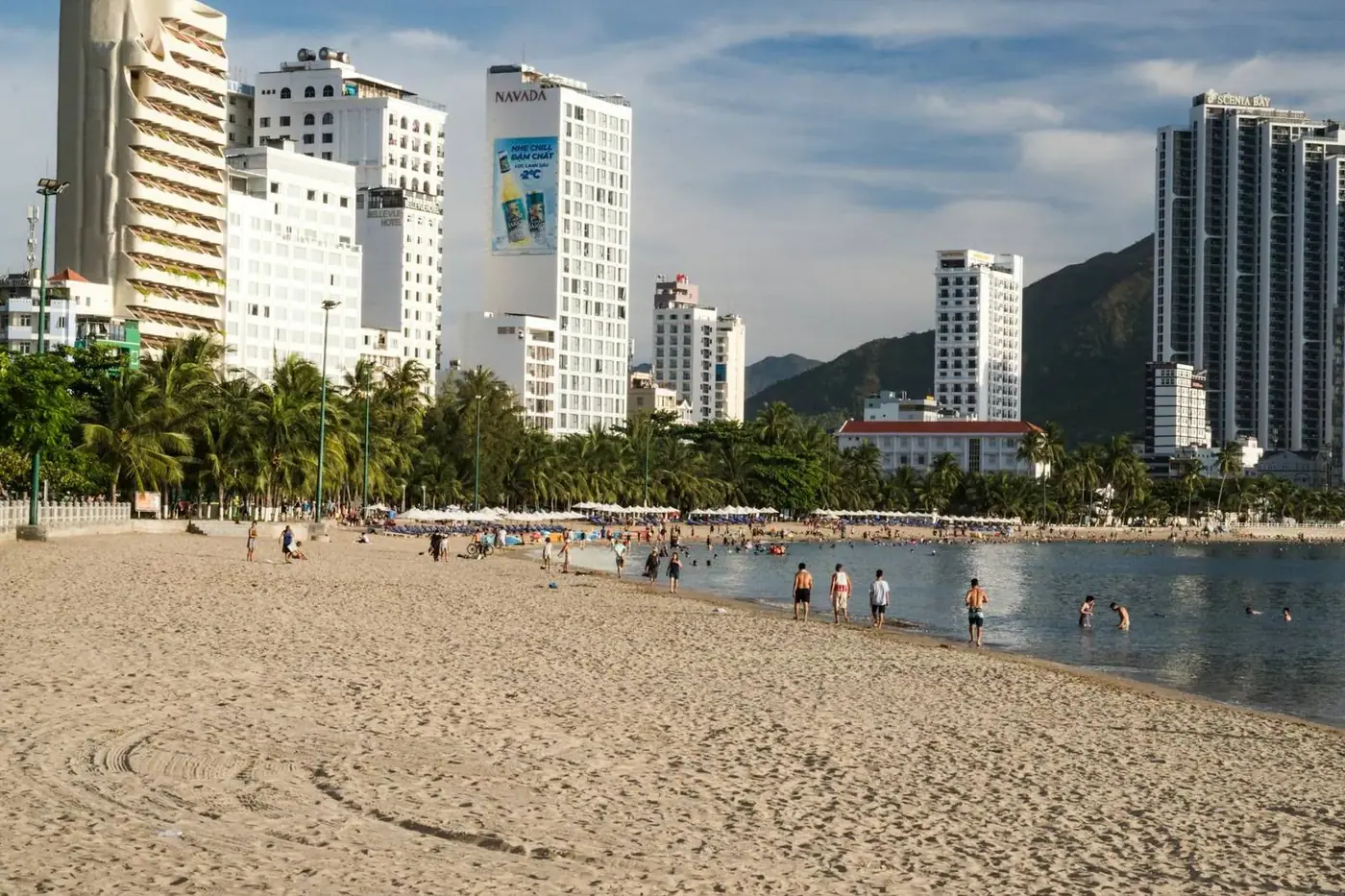 Nha Trang beach with palm trees and beachfront hotels — typical resort-city view