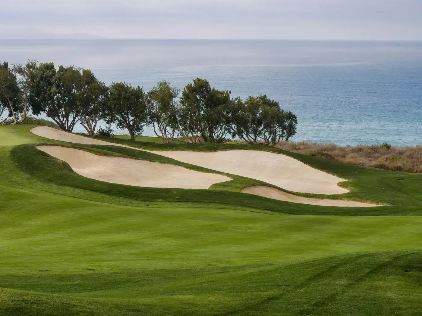 Green fairway with sandy bunkers next to the sea
