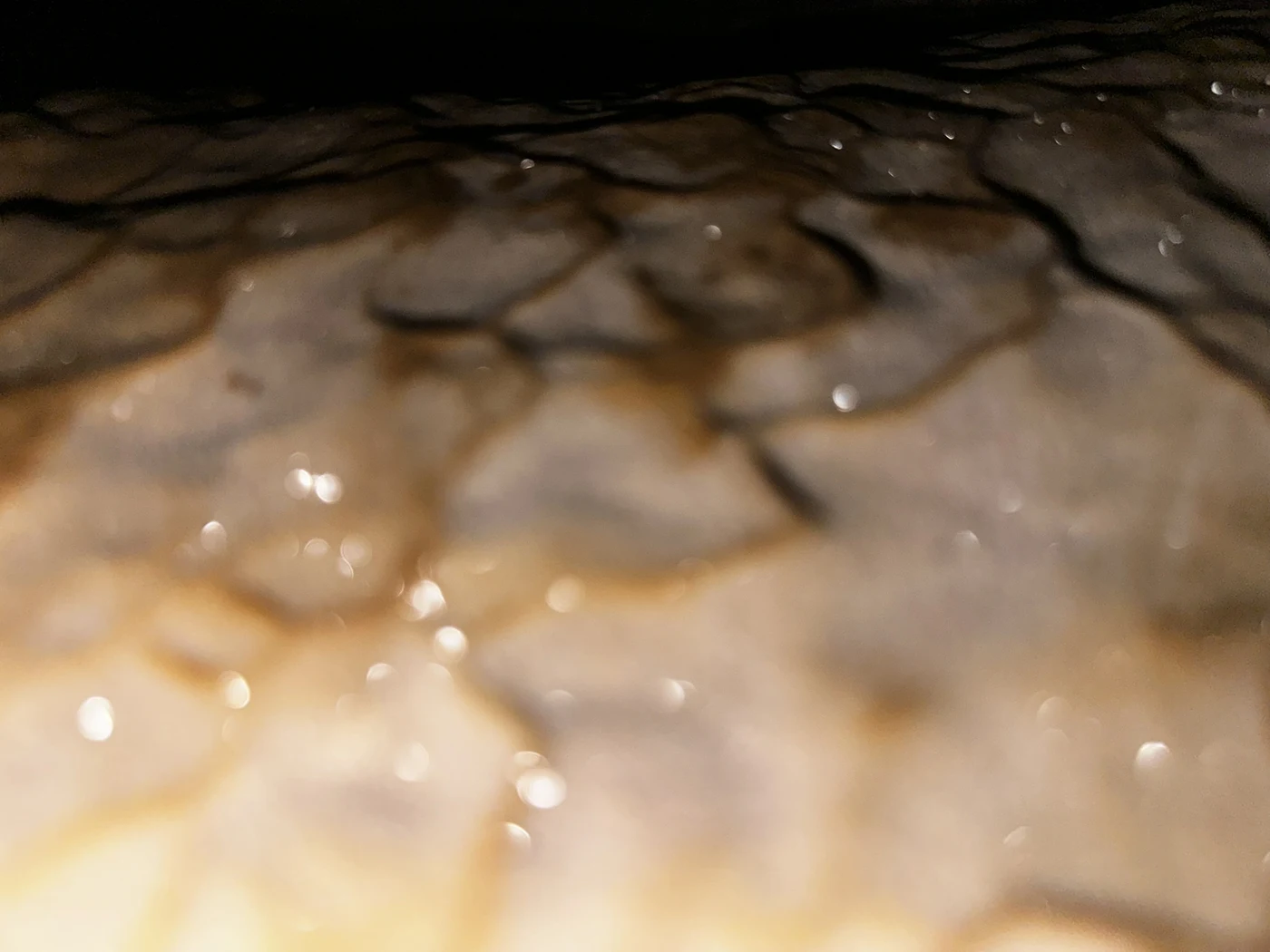 Wet limestone cave ceiling with dripping water