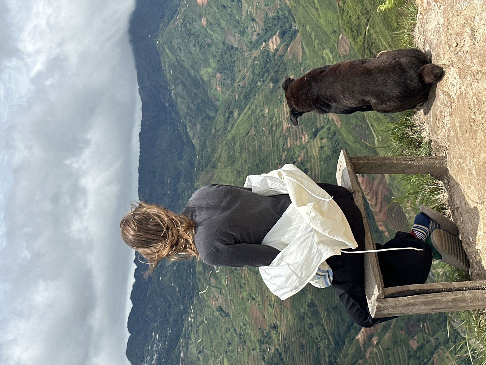 Rice terrace valley viewed from a mountain overlook in Ha Giang