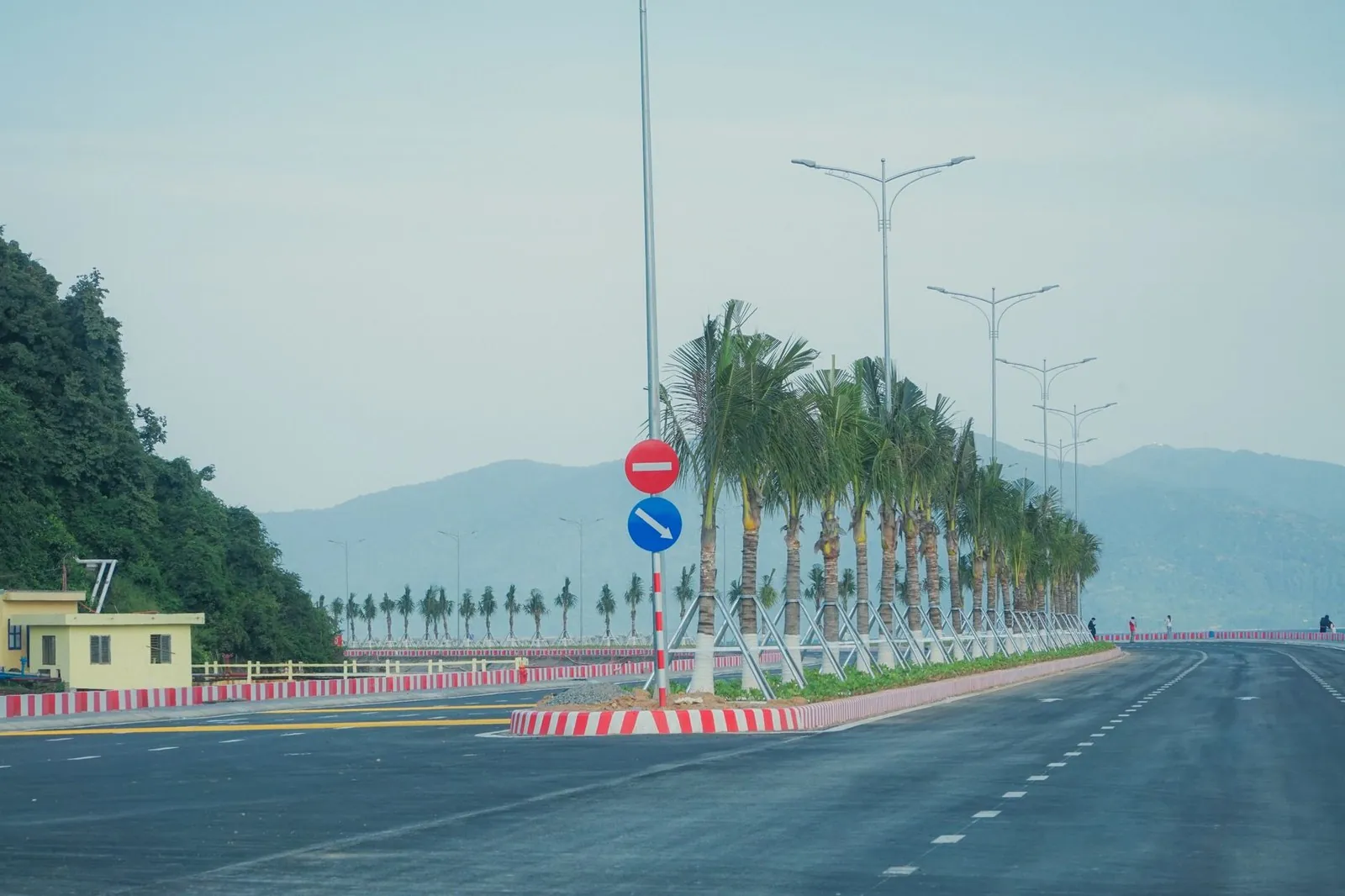 Palm-lined coastal highway running along the mountains outside Da Nang