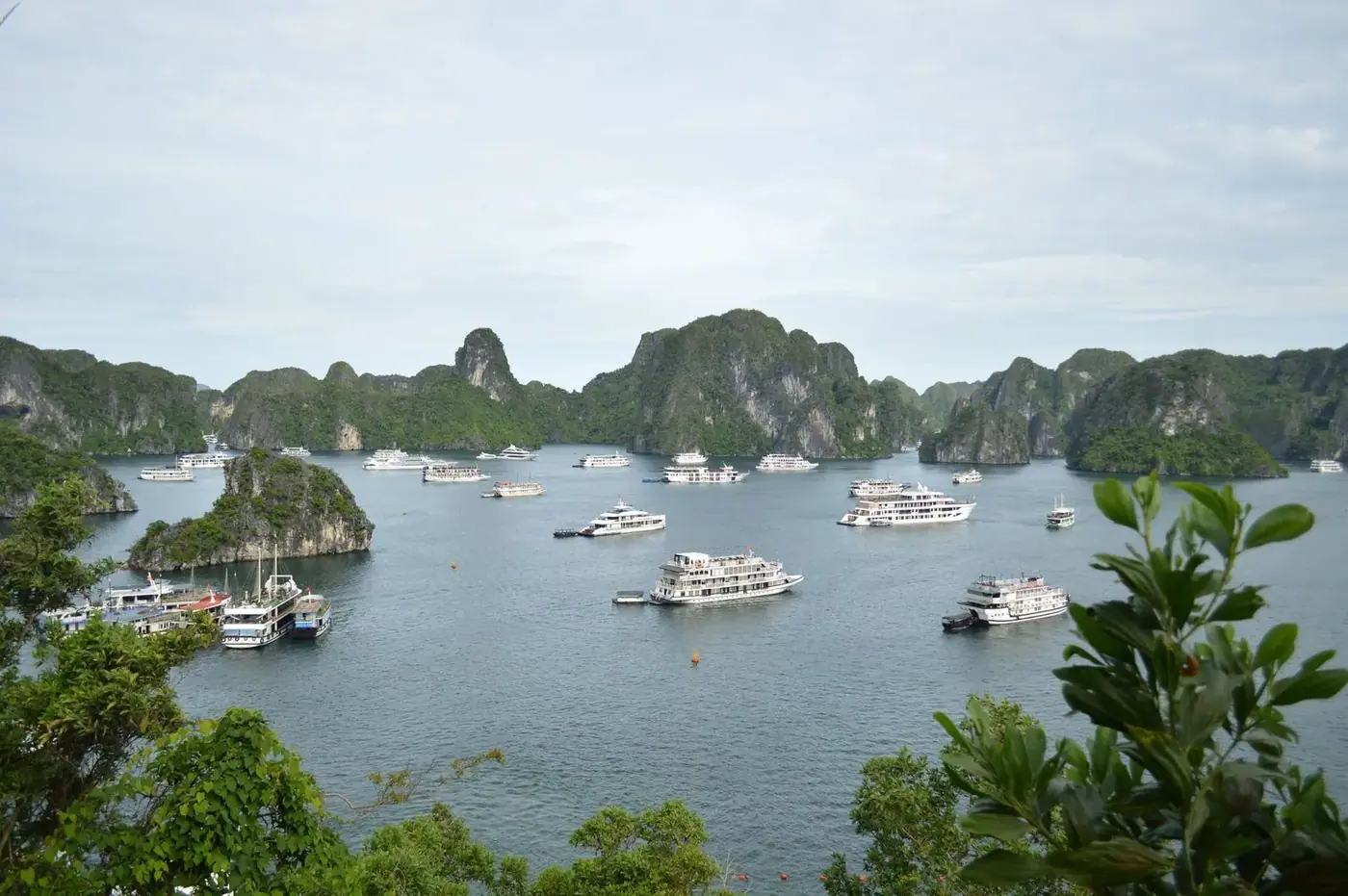 Fleet of budget overnight cruise boats anchored in Ha Long Bay