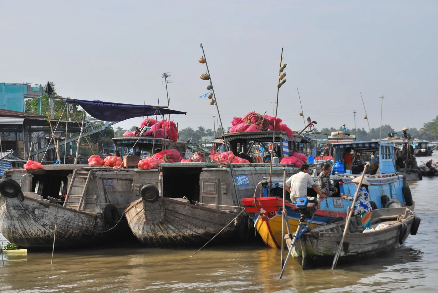 Wooden cargo boats loaded with fruit moored on a Mekong Delta river