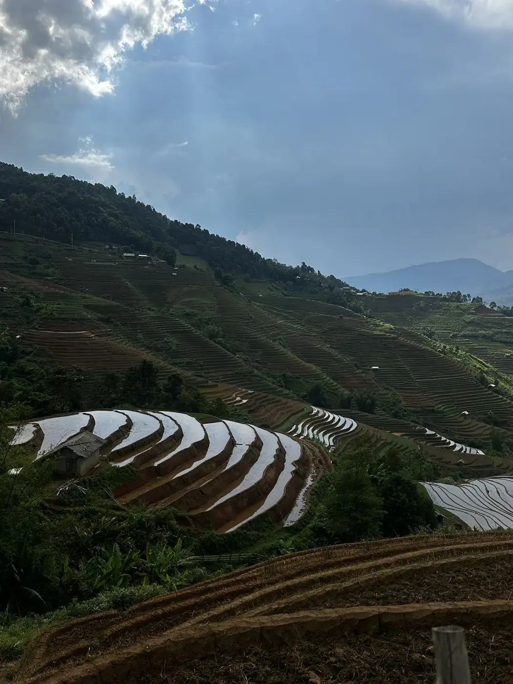 Rice terraces on a mountainside in northern Vietnam