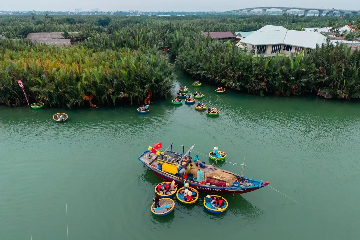 Aerial view of traditional basket boats in Cam Thanh coconut forest near Hoi An