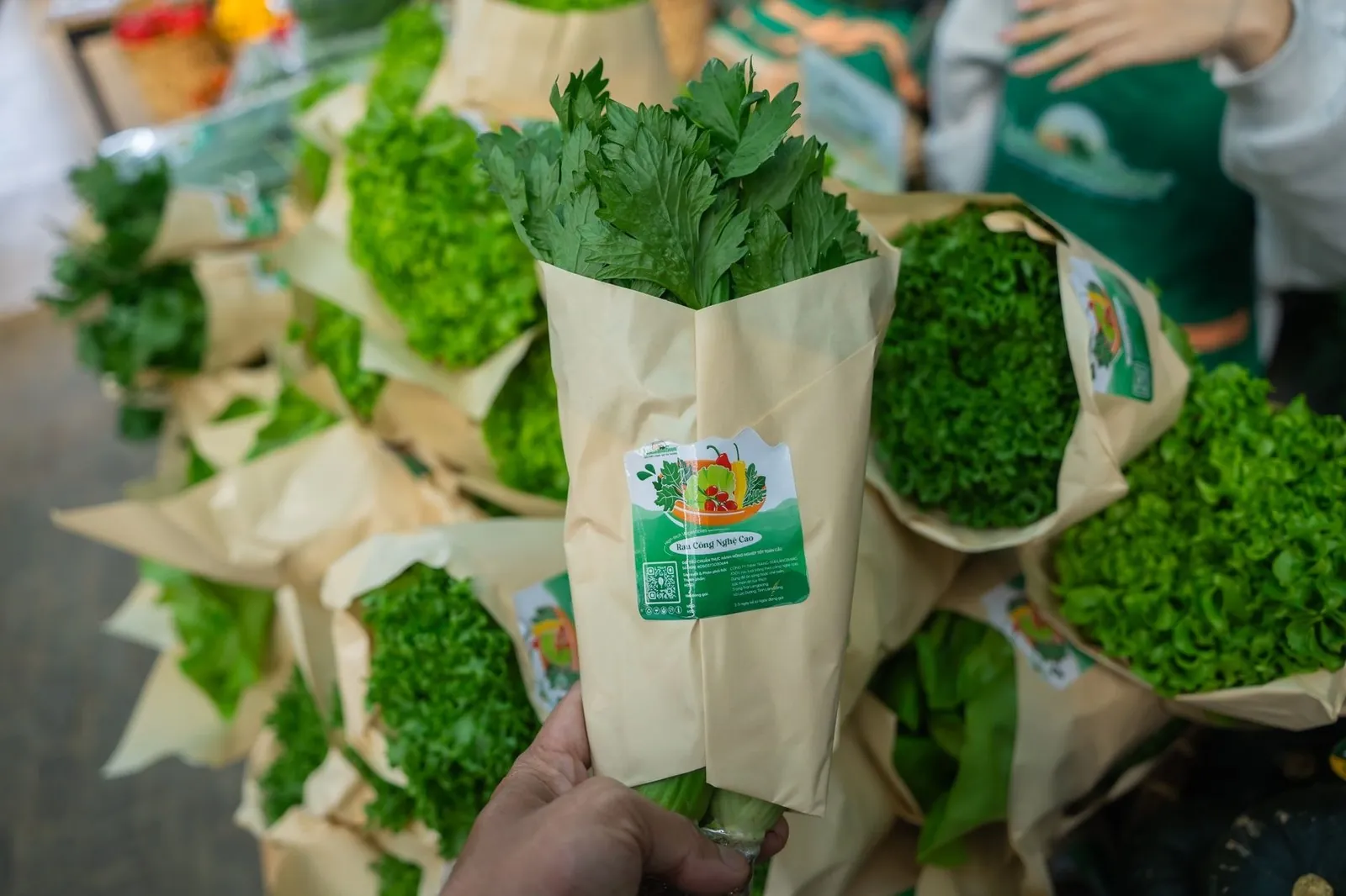 Fresh herbs and greens at Hoi An central market for a cooking class