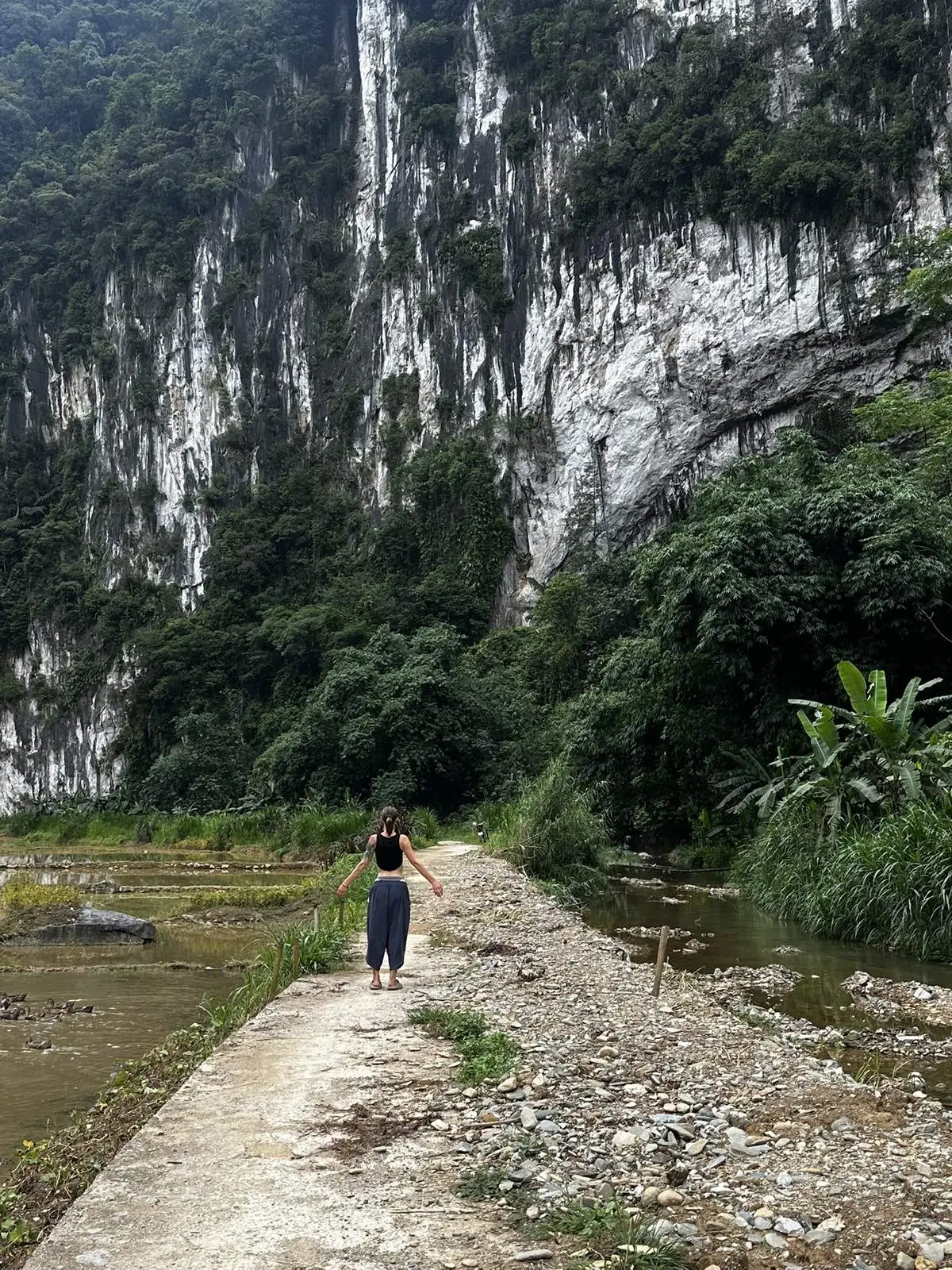 Path along rice paddies beneath limestone karst cliffs in Ninh Binh