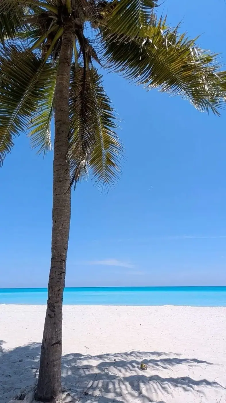 How Much Does a 2-Week Vietnam Trip Actually Cost?