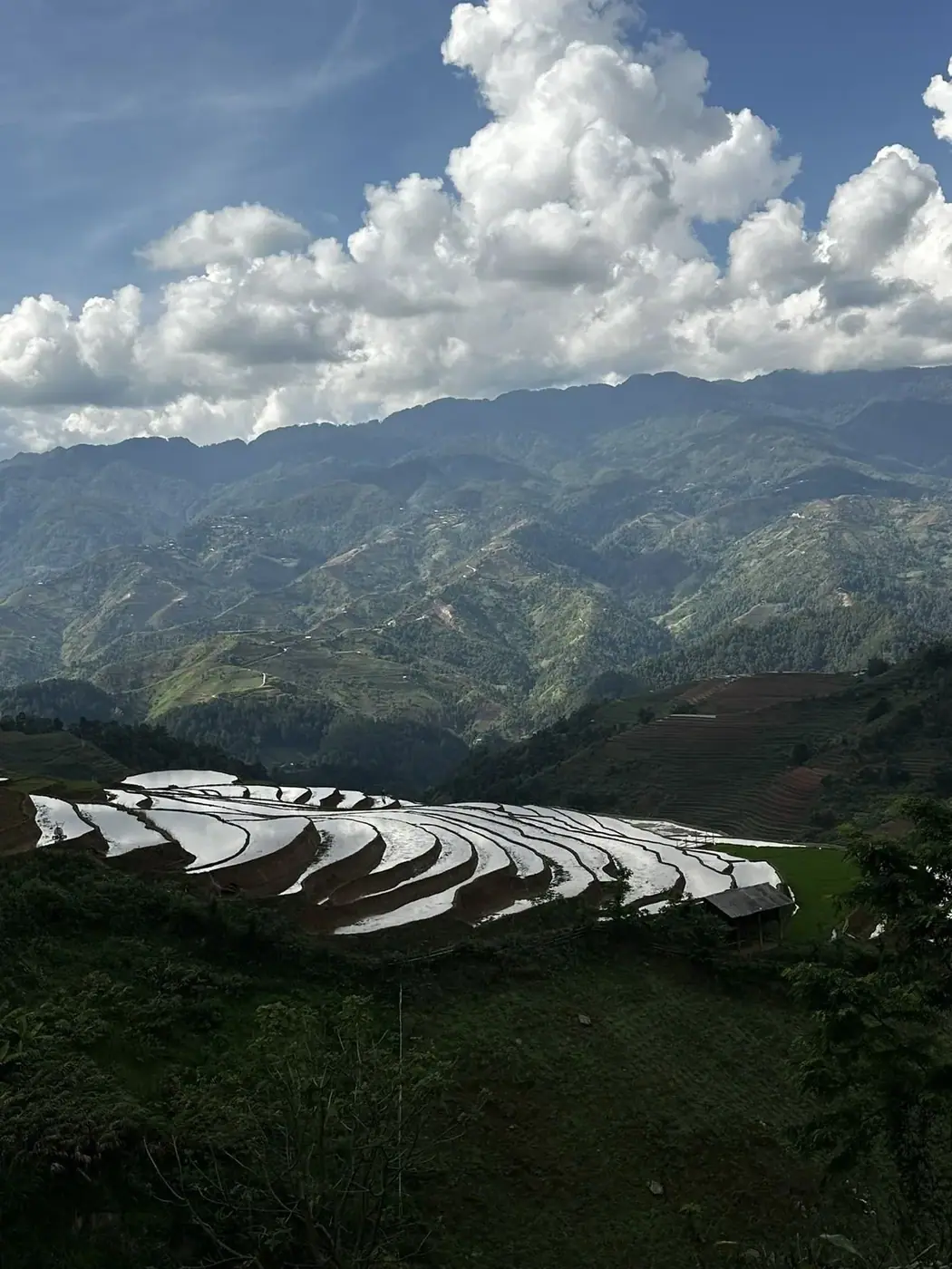 Ho Chi Minh City to Da Lat or Mui Ne: Which Route to Ride