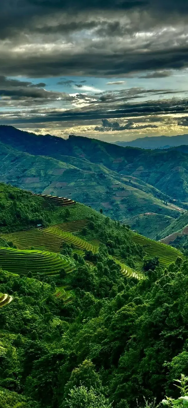 Panoramic view of green mountain terraces at sunset in Vietnam