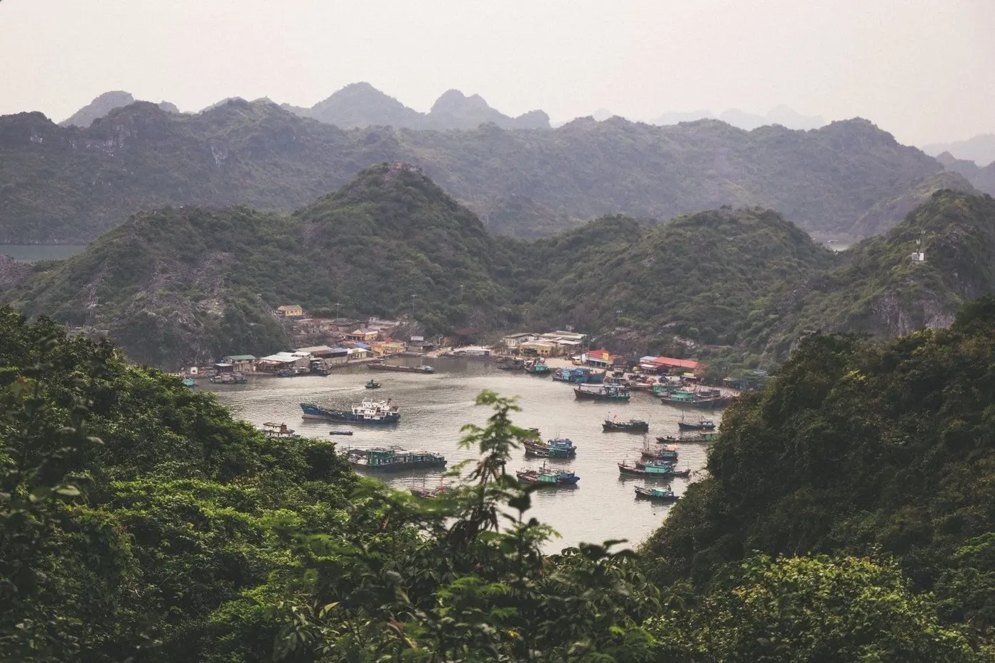 Fishing boats in a harbor among green hills near Cat Ba