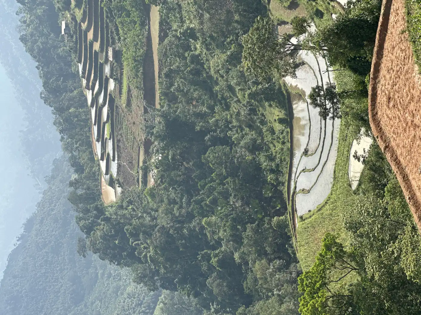 Terraced rice fields carved into misty highland hillsides in Vietnam