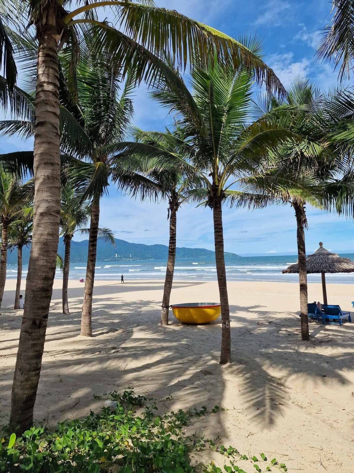 My Khe beach in Da Nang with palms and a coracle boat