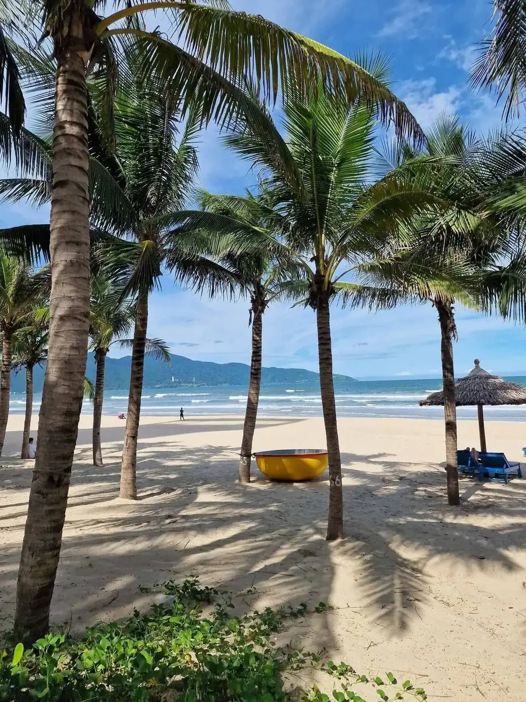 My Khe beach in Da Nang with palms and a coracle boat