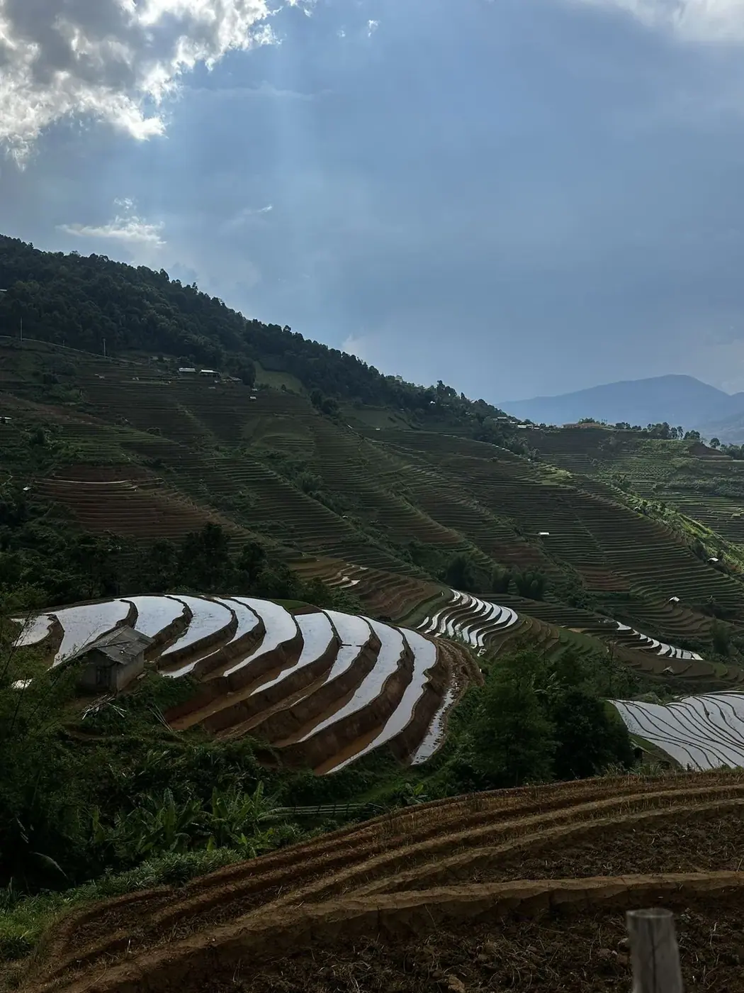Rice terraces on a mountainside along a custom Vietnam route