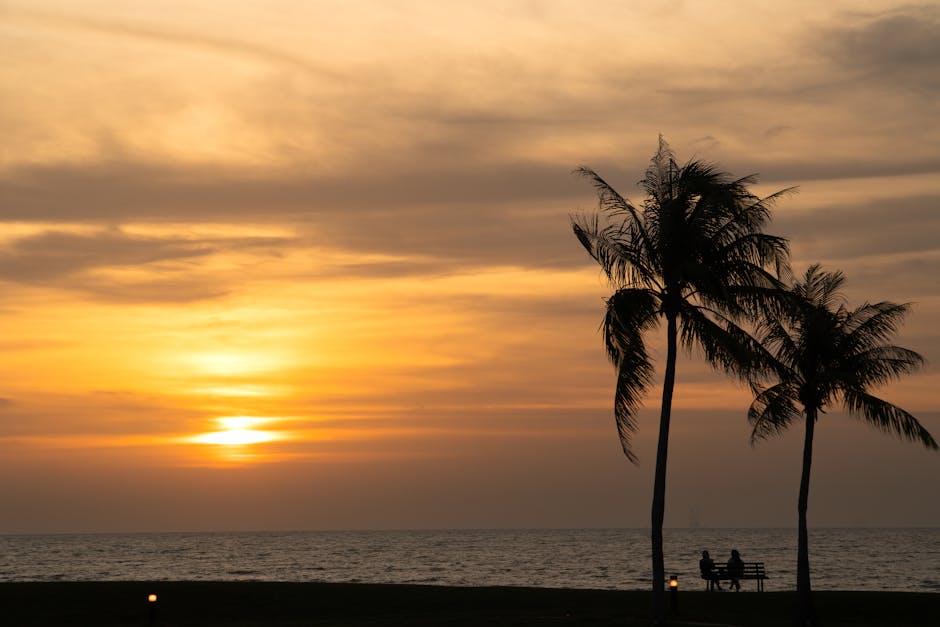 Sunset over the sea with palm trees — the feeling that started this whole thing