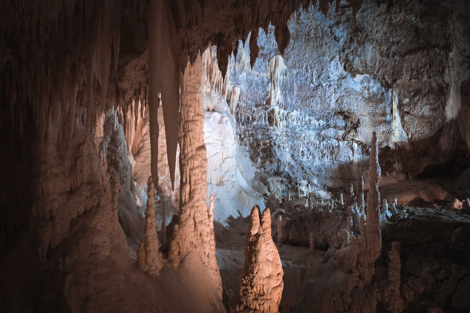 Phong Nha Caves 2026: Son Doong vs Paradise vs Phong Nha