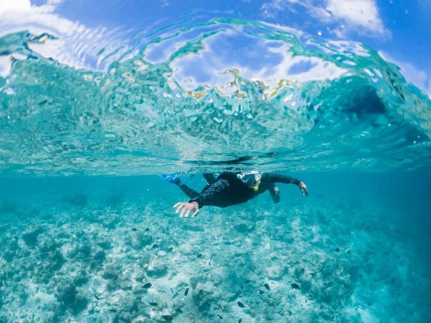 Snorkeler swimming at the water surface above a clear coral reef