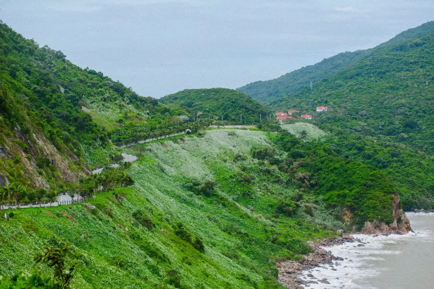 Winding coastal road through green mountains above Da Nang, Vietnam