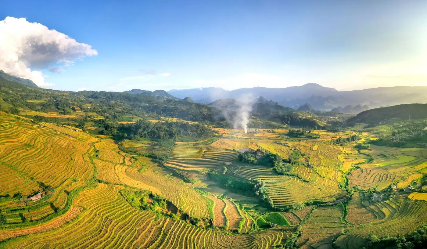 Aerial view of golden terraced rice fields in a mountain valley at harvest