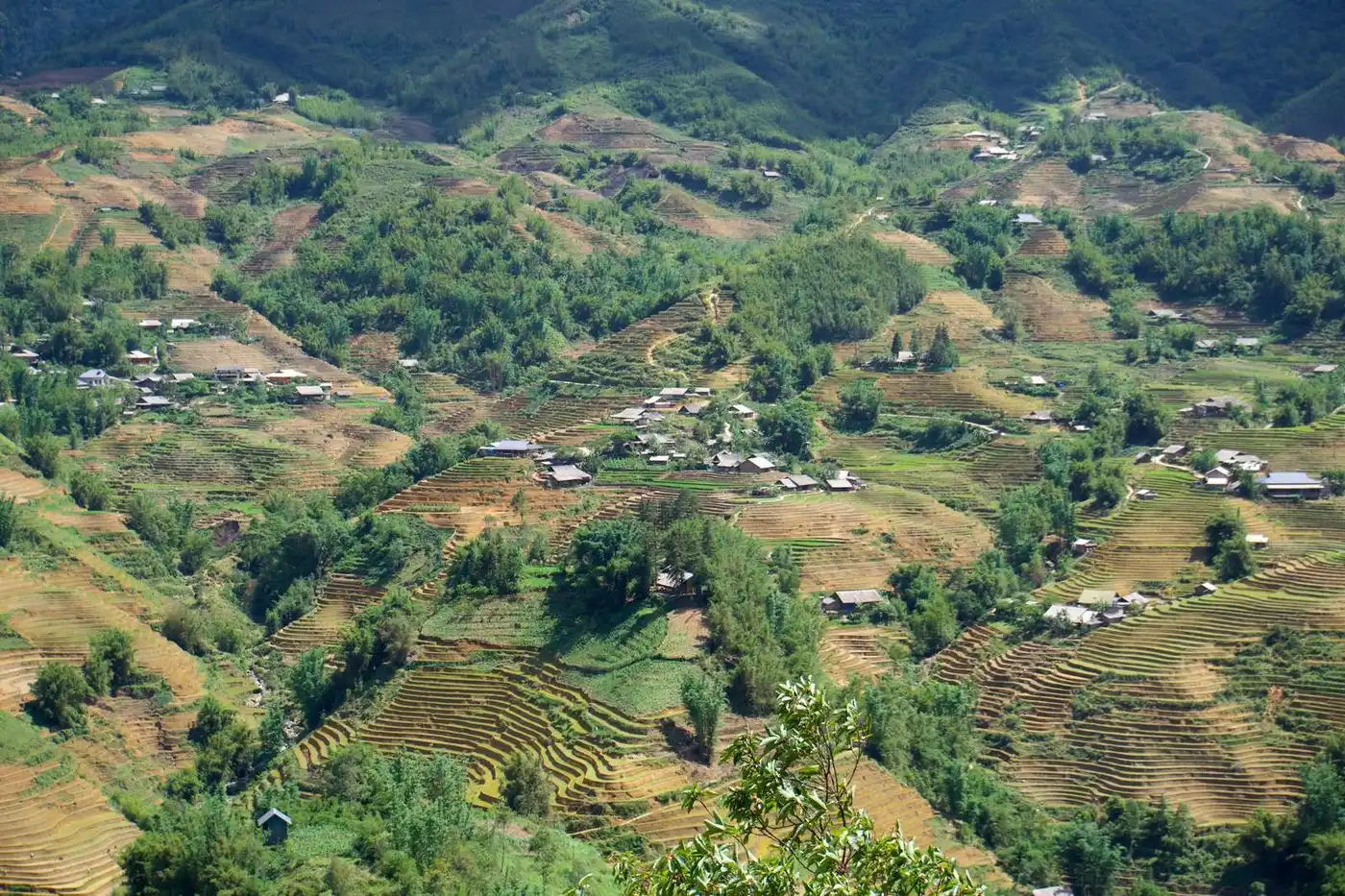 Houses scattered among terraced slopes in a valley near Sapa