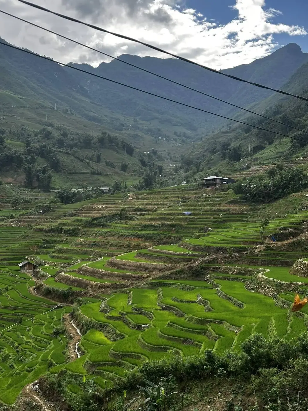 Rice terraces and mountain valley on the way toward Fansipan