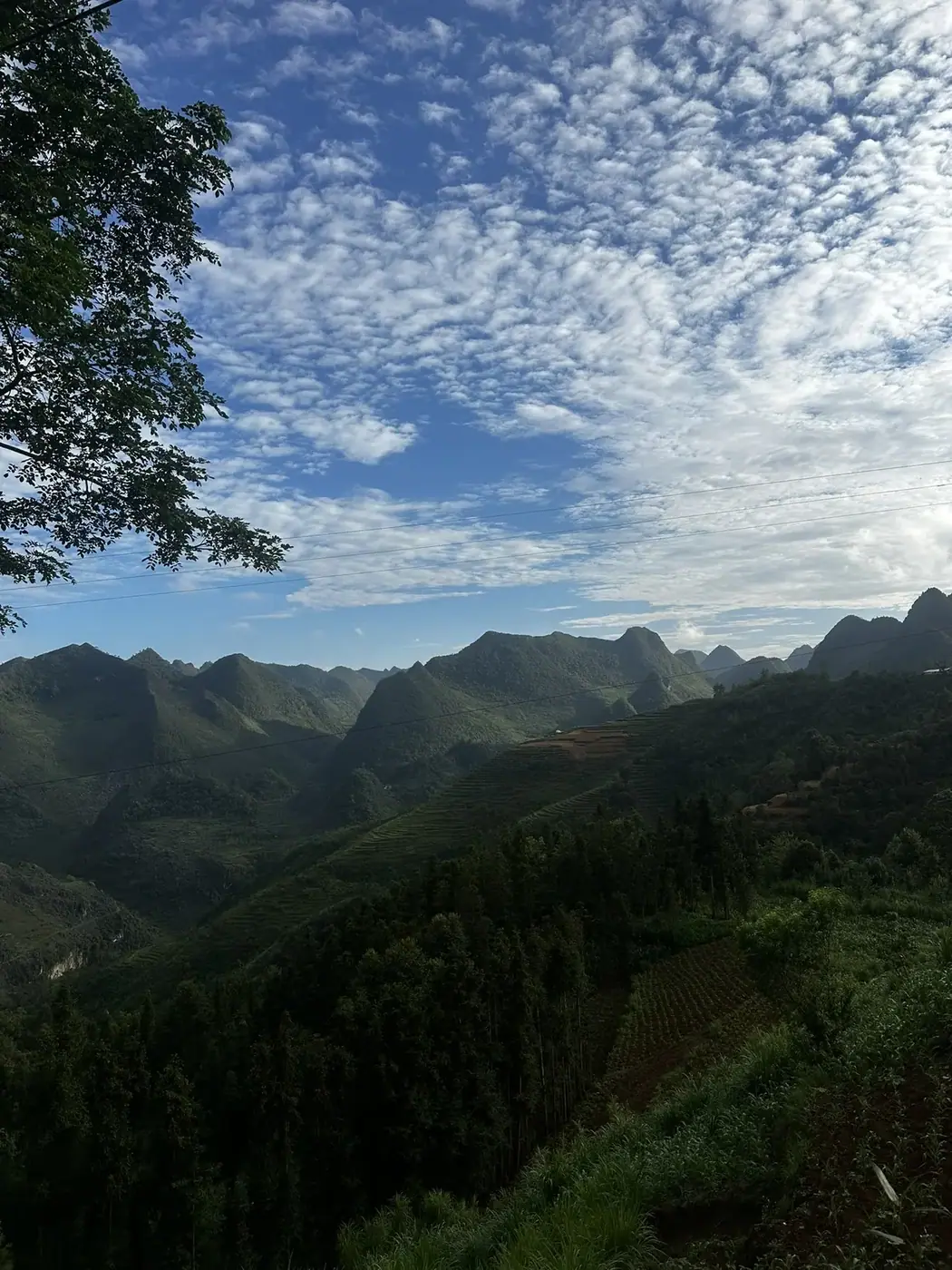 Sapa vs Ha Giang Loop 2026: Which One to Pick