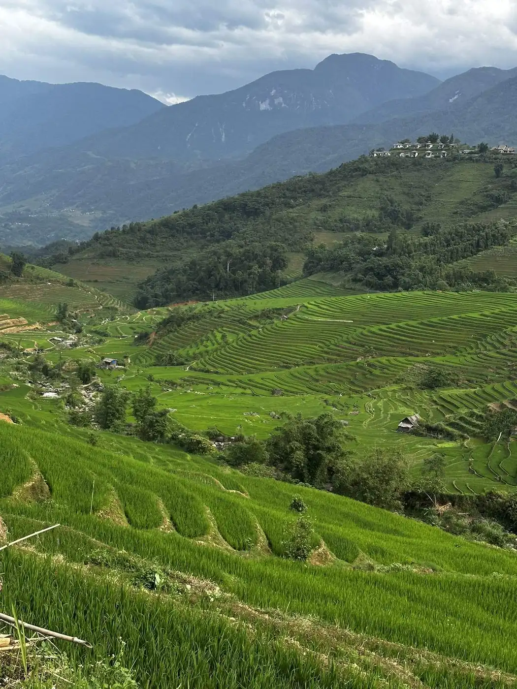 Aerial view of a Sapa rice valley from a mountain ridge